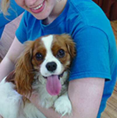 A small dog at Wee Little Paws Inn
